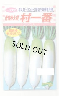 送料無料　[大根]　村一番　 小袋（3ml）　松永種苗(株)