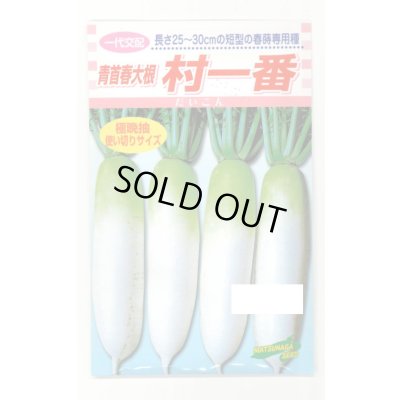 画像1: 送料無料　[大根]　村一番　 小袋（3ml）　松永種苗(株)
