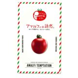 送料無料　[トマト/マウロの地中海トマト]　アマルフィの誘惑　100粒　サナテックシード（株）