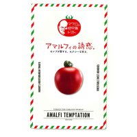 送料無料　[トマト/マウロの地中海トマト]　アマルフィの誘惑　100粒　サナテックシード（株）