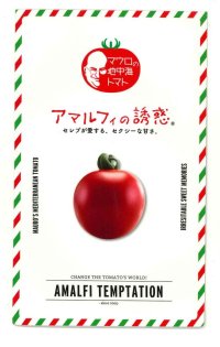 送料無料　[トマト/マウロの地中海トマト]　アマルフィの誘惑　100粒　サナテックシード（株）