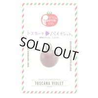 送料無料　[トマト/マウロの地中海トマト]　トスカーナバイオレット　8粒　サナテックシード（株）