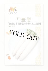 送料無料　大根種　豊誉　8000粒　ヴィルモランみかど（株）