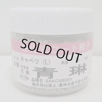 送料無料　[キャベツ]　青琳　ペレット種子5千粒　（株）サカタのタネ