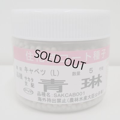 画像1: 送料無料　[キャベツ]　青琳　ペレット種子5千粒　（株）サカタのタネ