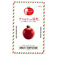 送料無料　[トマト/マウロの地中海トマト]　アマルフィの誘惑　8粒　サナテックシード（株）