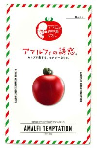 送料無料　[トマト/マウロの地中海トマト]　アマルフィの誘惑　8粒　サナテックシード（株）