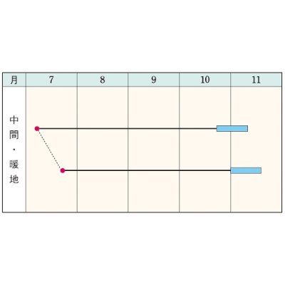 画像5: 送料無料　[豆類]　丹波大納言小豆（アズキ）　30ml（約90粒）　タキイ種苗（株）GF