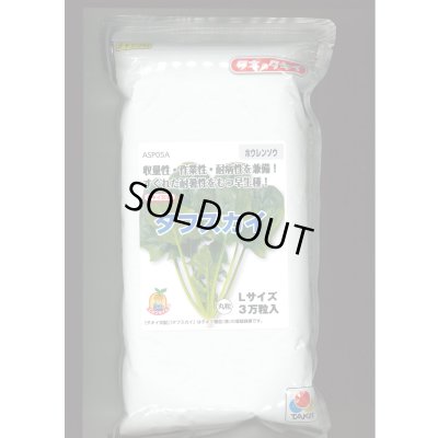 画像1: [ほうれんそう] タフスカイ （種子サイズ：L）3万粒 タキイ種苗(株)