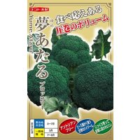 送料無料　[ブロッコリー]　夢あたるコート40粒 ナント種苗（株）