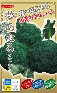 送料無料　[ブロッコリー]　夢あたるコート40粒 ナント種苗（株）
