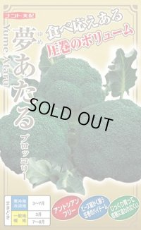 送料無料　[ブロッコリー]　夢あたるコート40粒 ナント種苗（株）