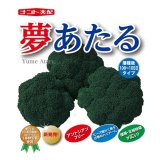 送料無料　[ブロッコリー]　夢あたるコート5千粒ナント種苗（株）