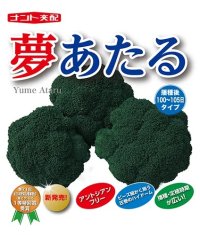 送料無料　[ブロッコリー]　夢あたるコート5千粒ナント種苗（株）