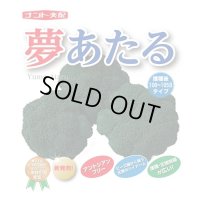 送料無料　[ブロッコリー]　夢あたるコート5千粒ナント種苗（株）