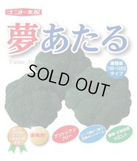 送料無料　[ブロッコリー]　夢あたるコート5千粒ナント種苗（株）