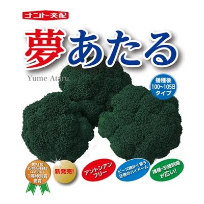 画像1: 送料無料　[ブロッコリー]　夢あたるコート5千粒ナント種苗（株）