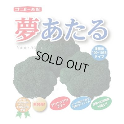 画像1: 送料無料　[ブロッコリー]　夢あたるコート5千粒ナント種苗（株）