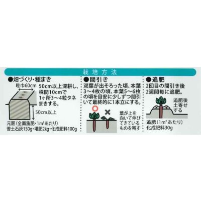 画像2: 送料無料　[牛蒡]　てがるゴボウ　8ml（約280粒）（株）大和農園