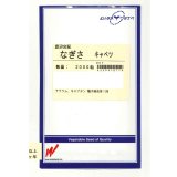 送料無料　[キャベツ]　なぎさ　2000粒　渡辺農事（株）