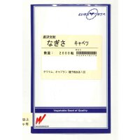 送料無料　[キャベツ]　なぎさ　2000粒　渡辺農事（株）