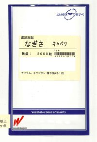 送料無料　[キャベツ]　なぎさ　2000粒　渡辺農事（株）
