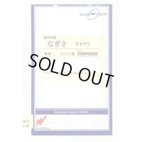 送料無料　[キャベツ]　なぎさ　2000粒　渡辺農事（株）