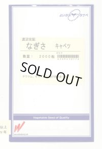 送料無料　[キャベツ]　なぎさ　2000粒　渡辺農事（株）