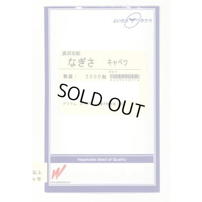 画像1: 送料無料　[キャベツ]　なぎさ　2000粒　渡辺農事（株）