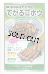 送料無料　[牛蒡]　てがるゴボウ　8ml（約280粒）（株）大和農園