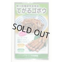 送料無料　[牛蒡]　てがるゴボウ　8ml（約280粒）（株）大和農園