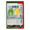 送料無料　[白菜]　初美月　20ml　（株）サカタのタネ