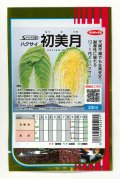 送料無料　[白菜]　初美月　20ml　（株）サカタのタネ