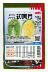 送料無料　[白菜]　初美月　20ml　（株）サカタのタネ