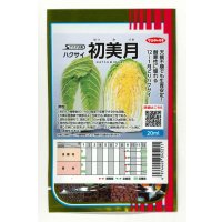 送料無料　[白菜]　初美月　20ml　（株）サカタのタネ