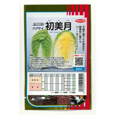 画像1: 送料無料　[白菜]　初美月　20ml　（株）サカタのタネ
