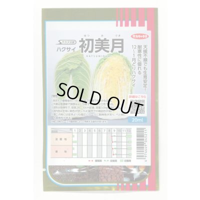 画像1: 送料無料　[白菜]　初美月　20ml　（株）サカタのタネ