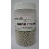 送料無料　[ねぎ]　陽春の宴　コート5千粒　トキタ種苗(株)