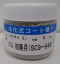 送料無料　[白菜]　初美月　ペレット5千粒　（株）サカタのタネ