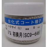 送料無料　[白菜]　初美月　ペレット5千粒　（株）サカタのタネ