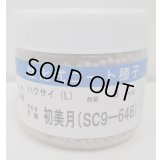 送料無料　[白菜]　初美月　ペレット5千粒　（株）サカタのタネ