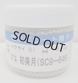 送料無料　[白菜]　初美月　ペレット5千粒　（株）サカタのタネ