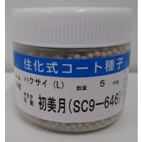 送料無料　[白菜]　初美月　ペレット5千粒　（株）サカタのタネ