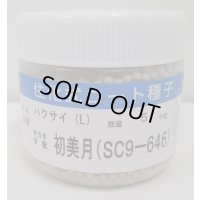 送料無料　[白菜]　初美月　ペレット5千粒　（株）サカタのタネ