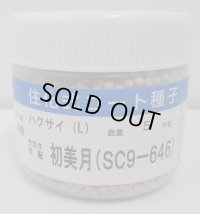 送料無料　[白菜]　初美月　ペレット5千粒　（株）サカタのタネ