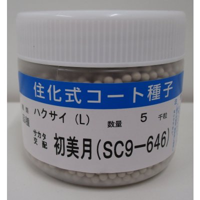 画像1: 送料無料　[白菜]　初美月　ペレット5千粒　（株）サカタのタネ