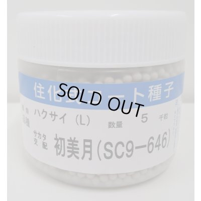 画像1: 送料無料　[白菜]　初美月　ペレット5千粒　（株）サカタのタネ