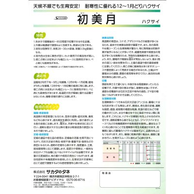 画像3: 送料無料　[白菜]　初美月　20ml　（株）サカタのタネ