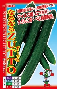 送料無料　[キュウリ]　なるなるZUTTO　17粒　ナント種苗(株)