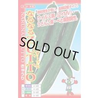 送料無料　[キュウリ]　なるなるZUTTO　17粒　ナント種苗(株)